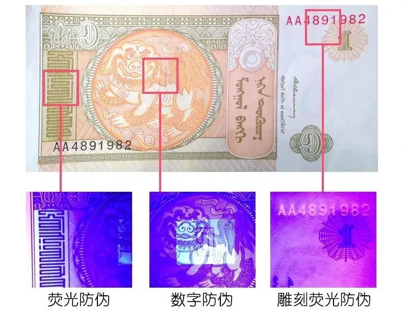 图片[13]-我把100国的外币都塞进红包，隔壁小孩过年都羡慕哭了！-家书速递|在线寄信|网上寄信|寄信软件|监狱寄信|看守所寄信