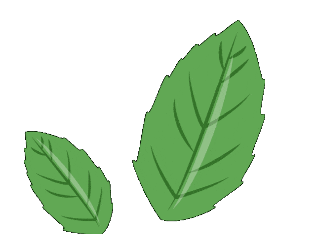 带你了解上海监狱如何组织罪犯开展队列训练，烈日炼规范 队列砺新生-家书速递|在线寄信|网上寄信|寄信软件|监狱寄信|看守所寄信