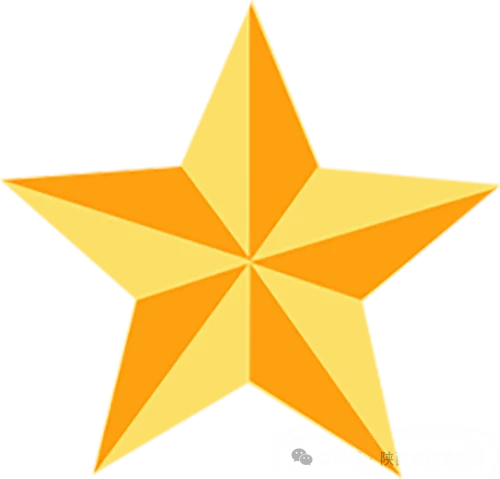 图片[5]-升旗宣誓扬正气 岁启新生促改造——陕西省杨凌监狱举行元旦升国旗仪式-家书速递|在线寄信|网上寄信|寄信软件|监狱寄信|看守所寄信