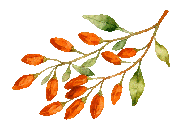 图片[2]-省未管所（太原四监）举办主题亲情帮教-家书速递|在线寄信|网上寄信|寄信软件|监狱寄信|看守所寄信